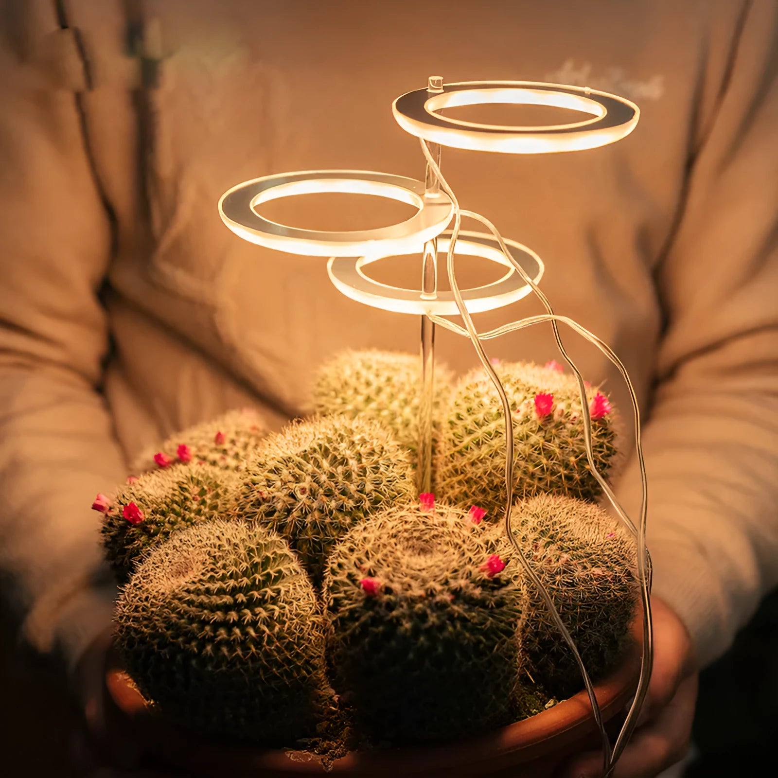USB LED plant grow light with transparent housing on a 25cm acrylic stick.