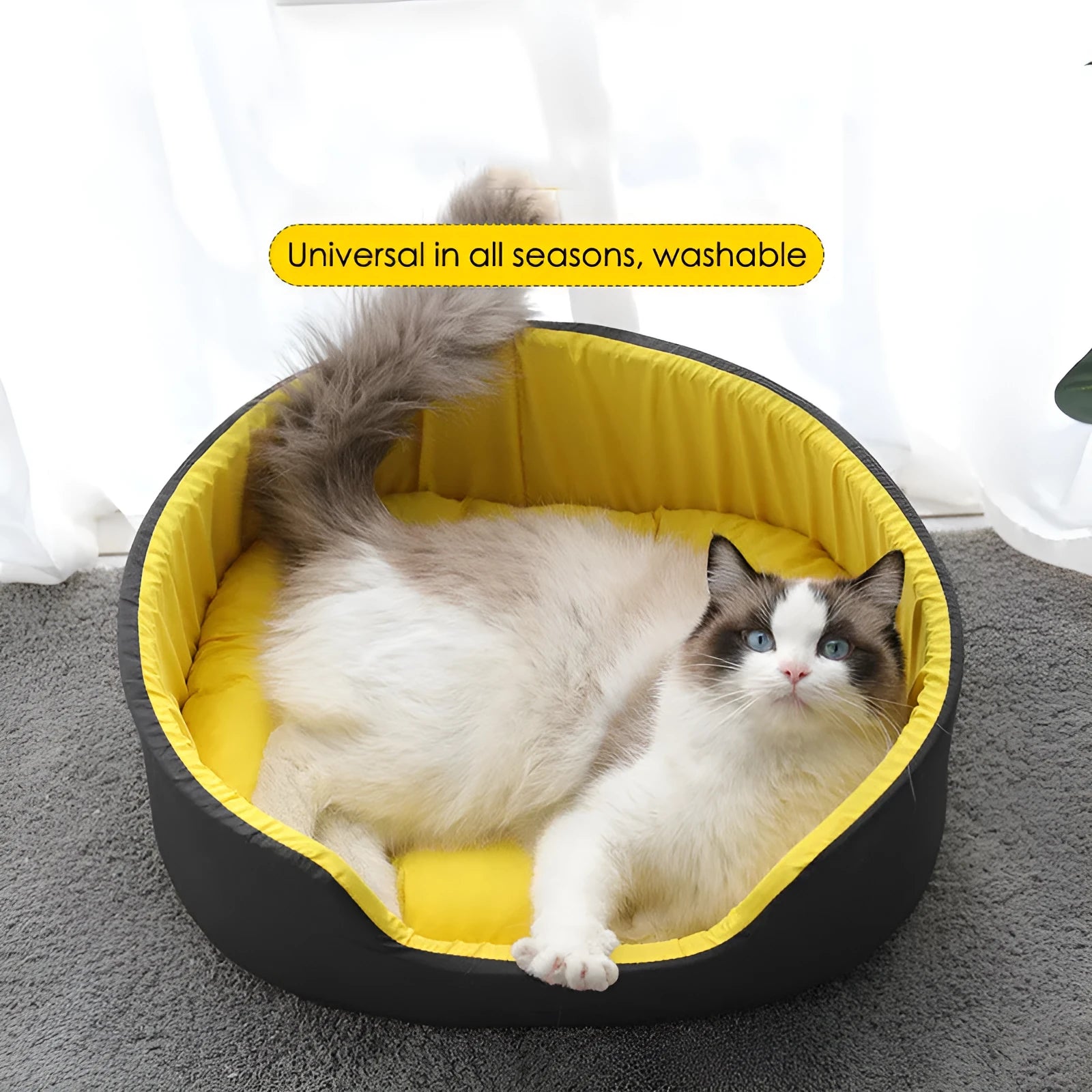 Washable black or green cloth pet kennel for cats and dogs shown in small, medium, and large sizes.