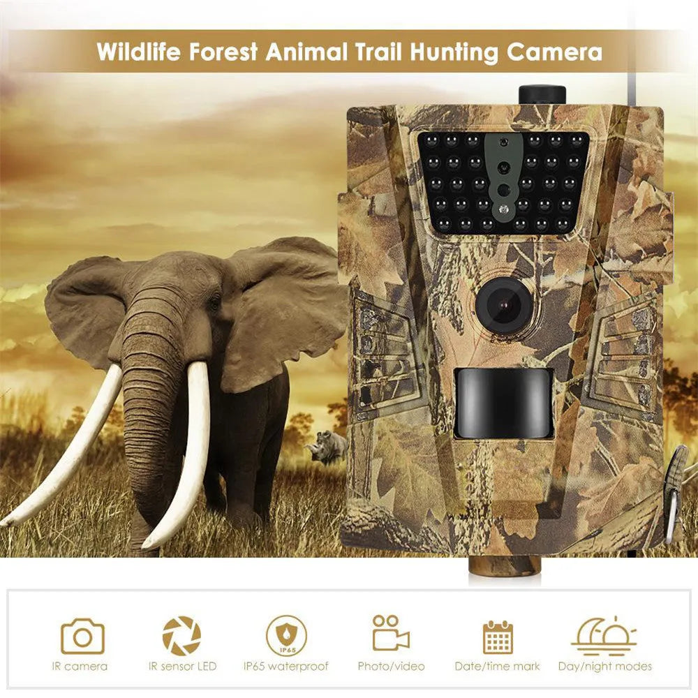 Orchard Surveillance Anti-Theft Camera with 12MP resolution and 20m night vision in outdoor setting