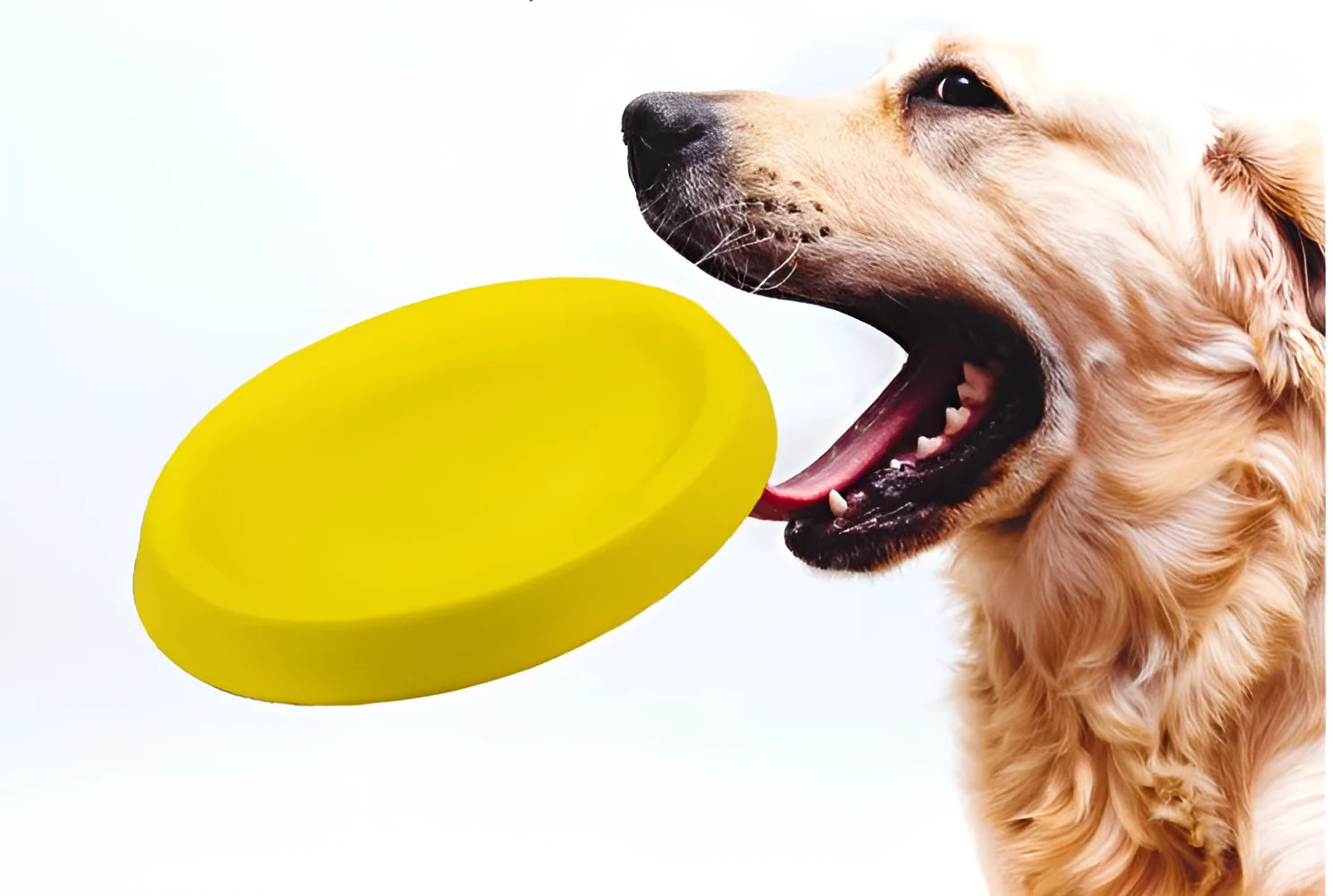 Yellow EVA plastic dog throwing toy for outdoor fetch games and training
