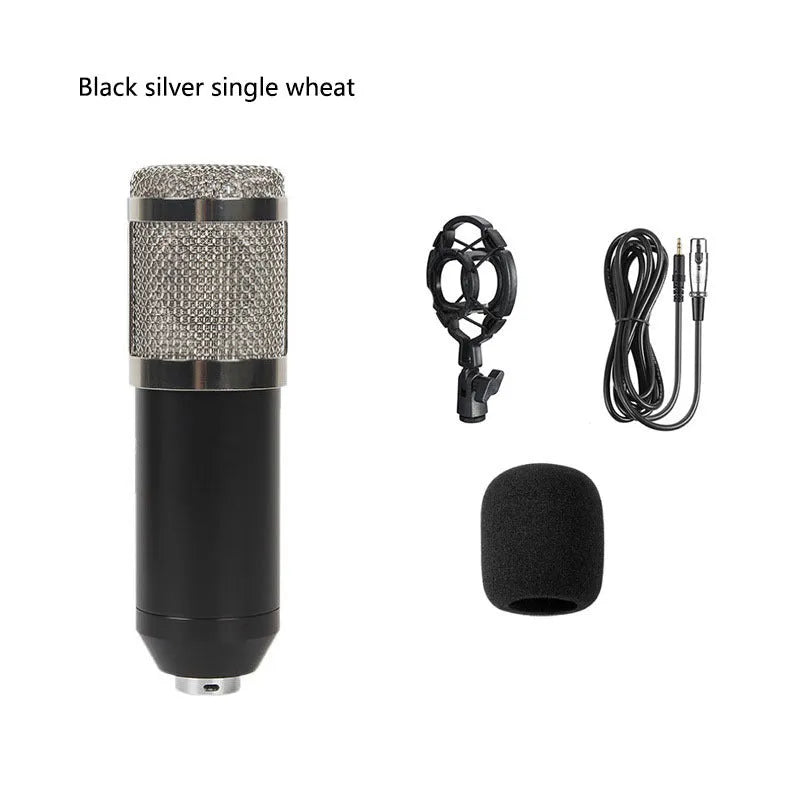 BM800 condenser microphone kit with shock mount and pop filter on a desktop stand
