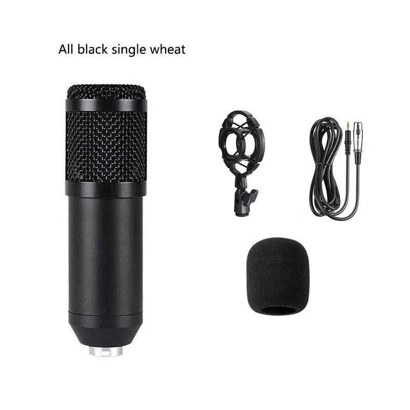 BM800 condenser microphone kit with shock mount and pop filter on a desktop stand