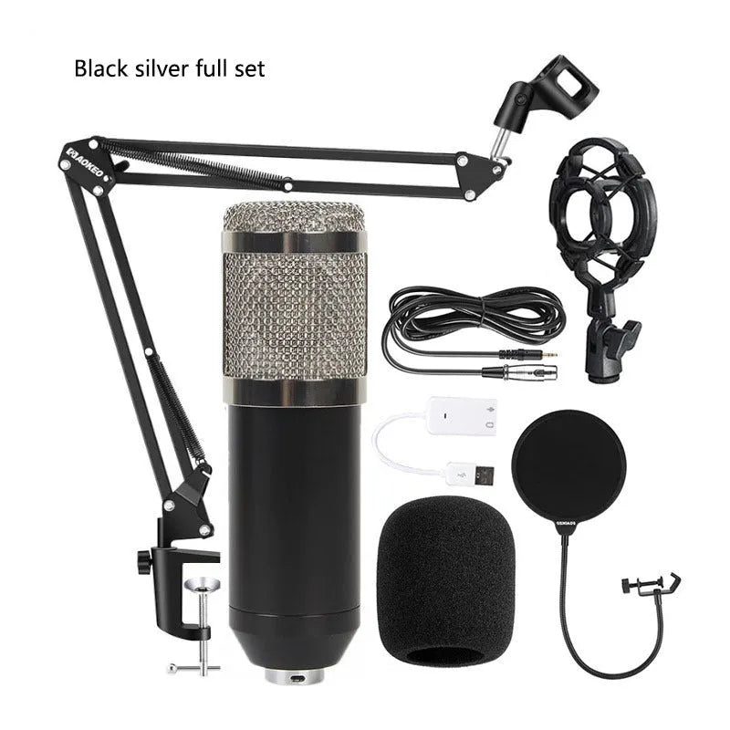 BM800 condenser microphone kit with shock mount and pop filter on a desktop stand