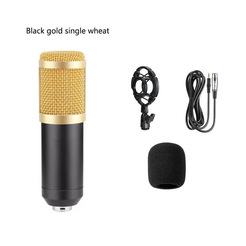 BM800 condenser microphone kit with shock mount and pop filter on a desktop stand