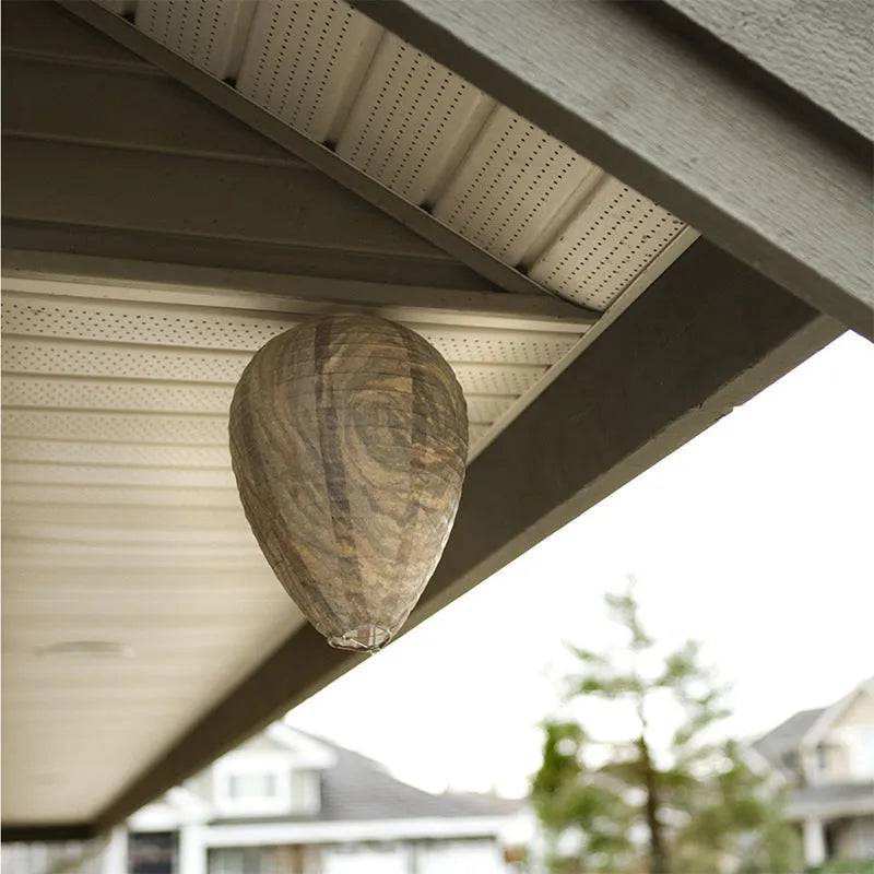 Paper beehive guide lantern in photo colour, dimensions 22cm by 28cm