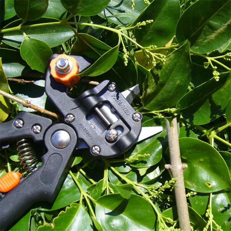 Handheld grafting scissors with black ABS handle and high carbon steel blade cutting a branch