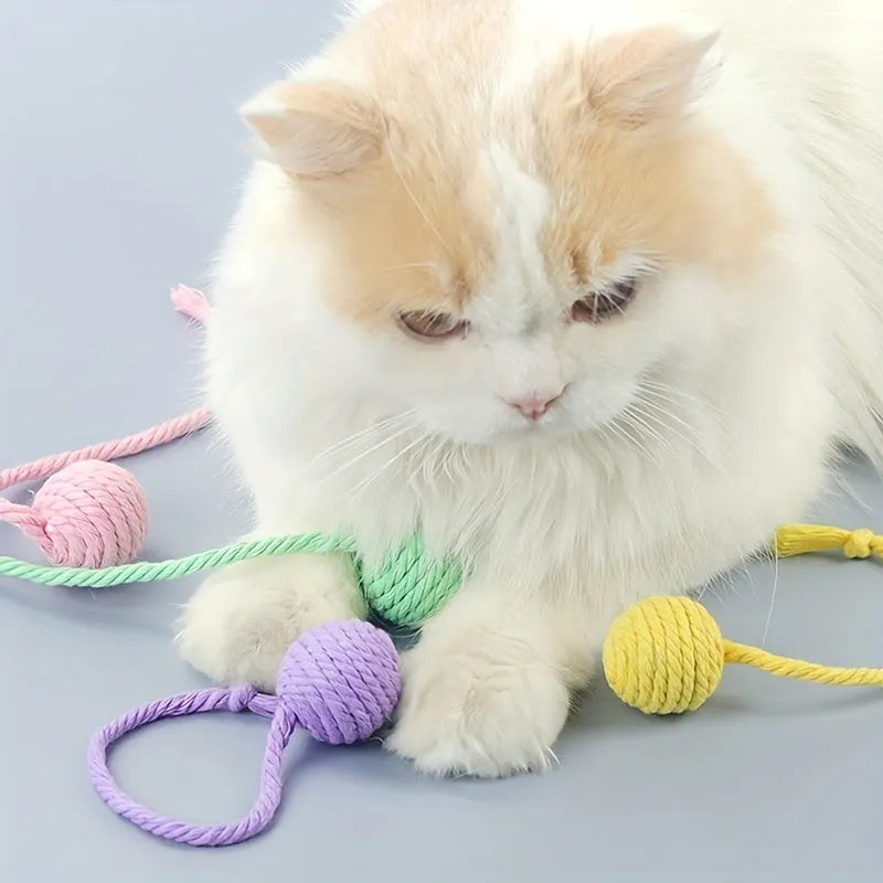 Colourful cat toy ball with an attached rope, shown in green, pink, purple, and yellow with 6cm and 3cm size options.