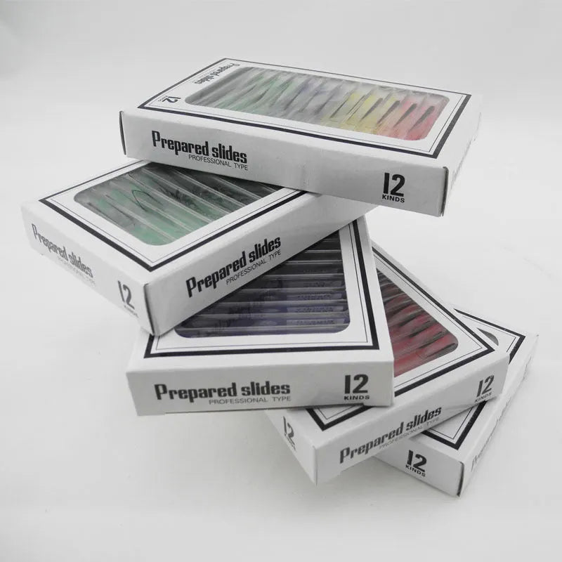 Colour-coded plastic microscope slides set with plant rhizomes and insect specimens for children's observation