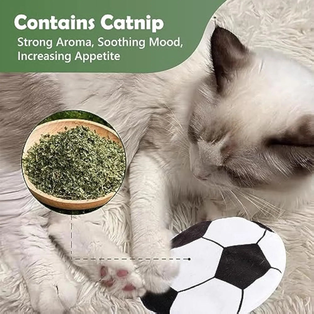 Interactive cat toy disc with sport ball pattern featuring catnip filling and crinkle sound material