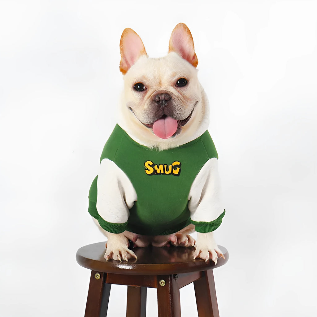 Green cotton dog winter coat for large breeds sizes L XL 2XL 3XL 4XL