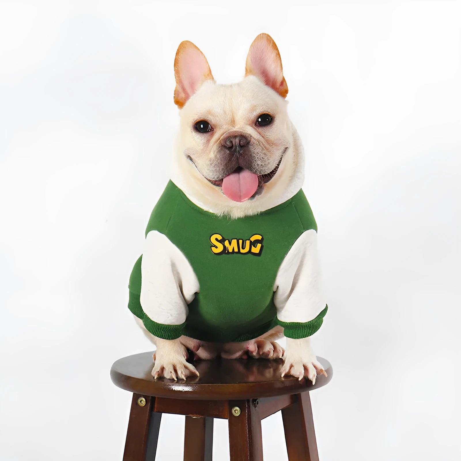 Green cotton dog winter coat for large breeds sizes L XL 2XL 3XL 4XL