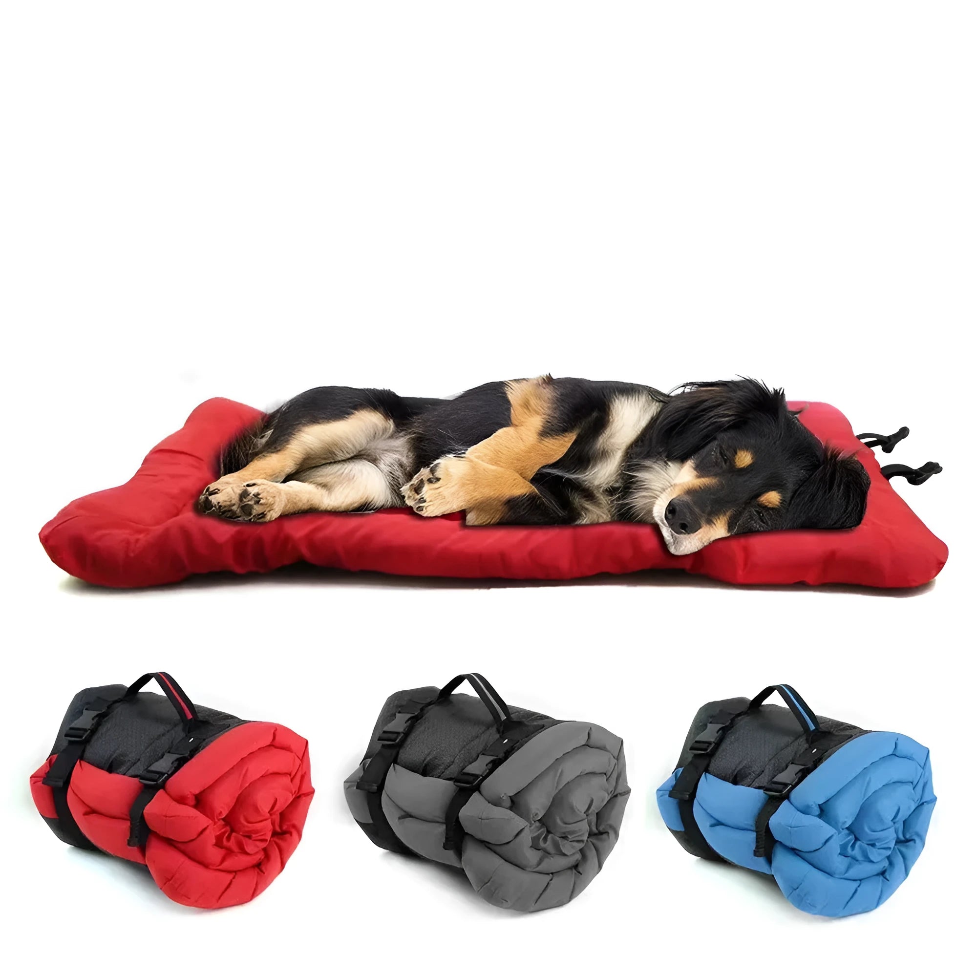 Outdoor dog bed in Blue, 90x60cm size, showing foldable design with nylon buckles on non-slip base