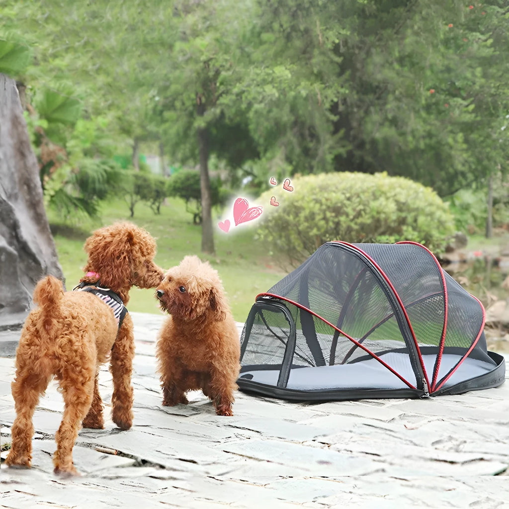 Portable cat folding tent with half mesh panels in black or blue colour options