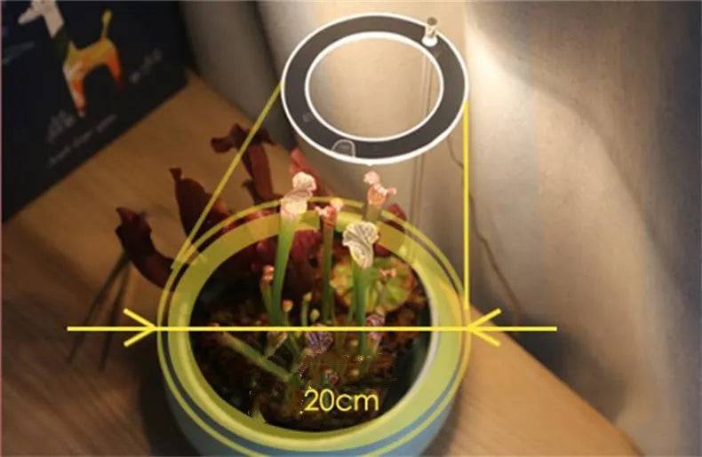 USB LED plant grow light with transparent housing on a 25cm acrylic stick.