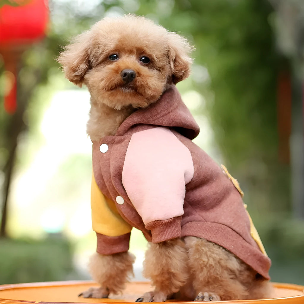 Brown cotton pet sweatshirt for dogs or cats showing casual leisure design