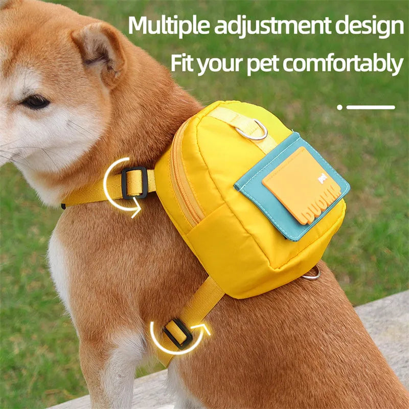 Blue pet snack storage backpack harness with breathable mesh and adjustable straps on a small dog outdoors