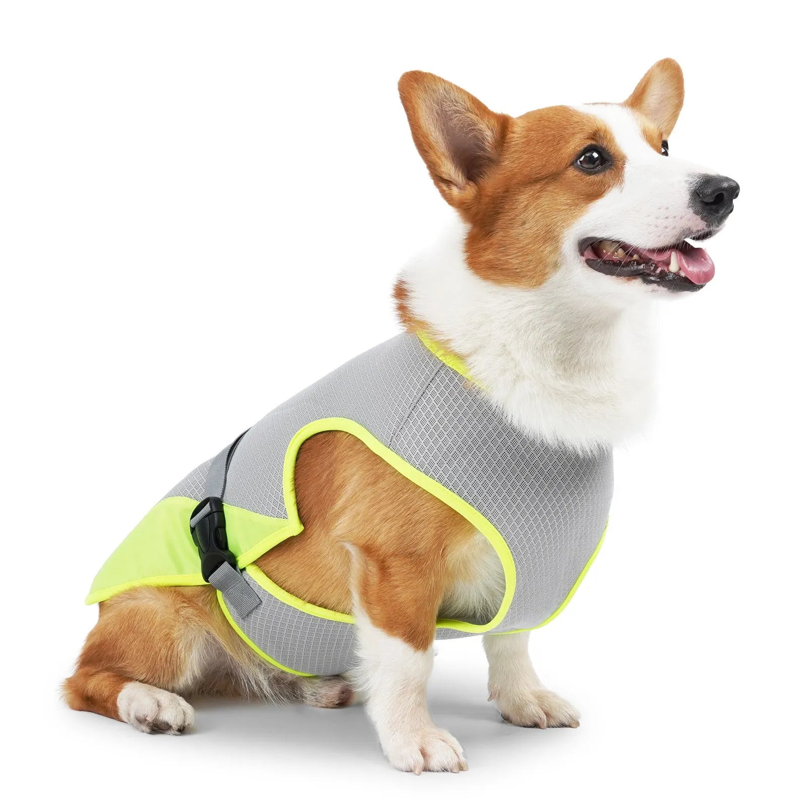 Light grey breathable mesh dog cooling vest for heatstroke prevention