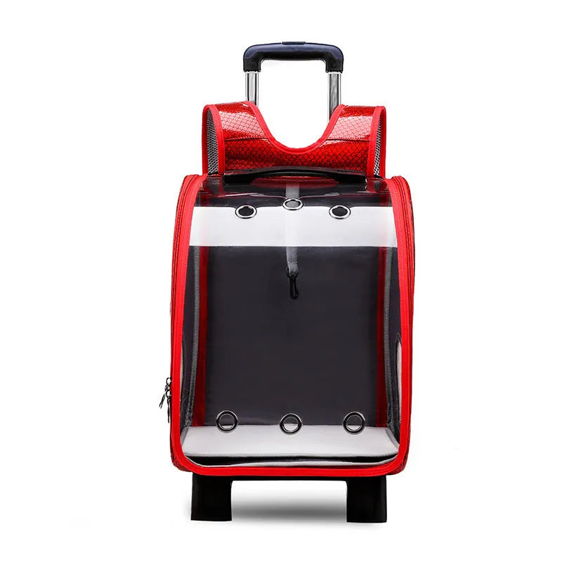Transparent pet trolley backpack with folding design and shoulder strap for small dogs and cats