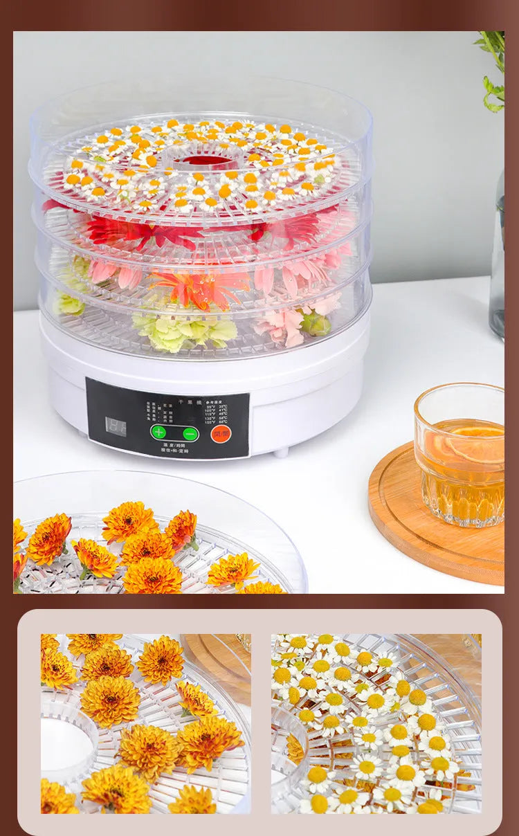 Five-layer household fruit dehydrator with UK plug and removable drying trays