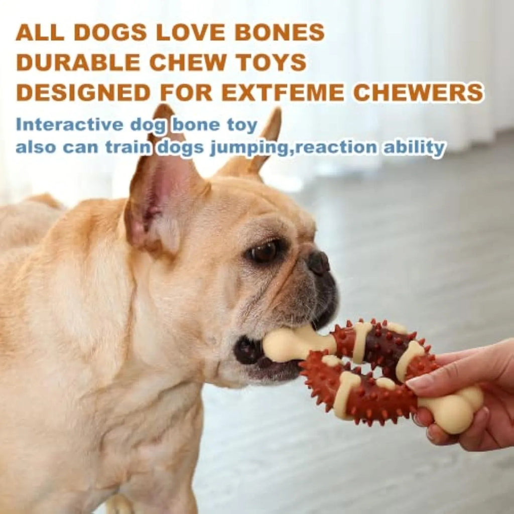 Natural rubber bone-shaped dog molar toy for teeth grinding and anxiety relief in two size options