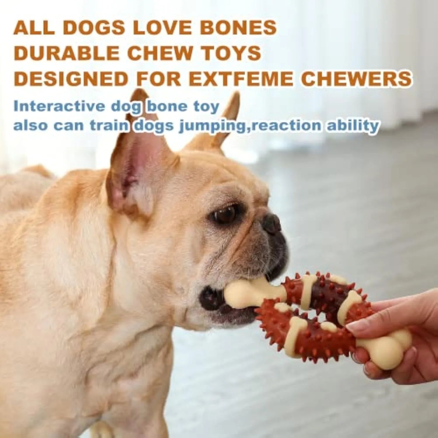 Natural rubber bone-shaped dog molar toy for teeth grinding and anxiety relief in two size options