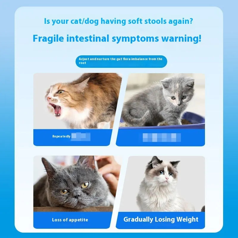 Bottle of 180 pet probiotic tablets for dog and cat digestive health