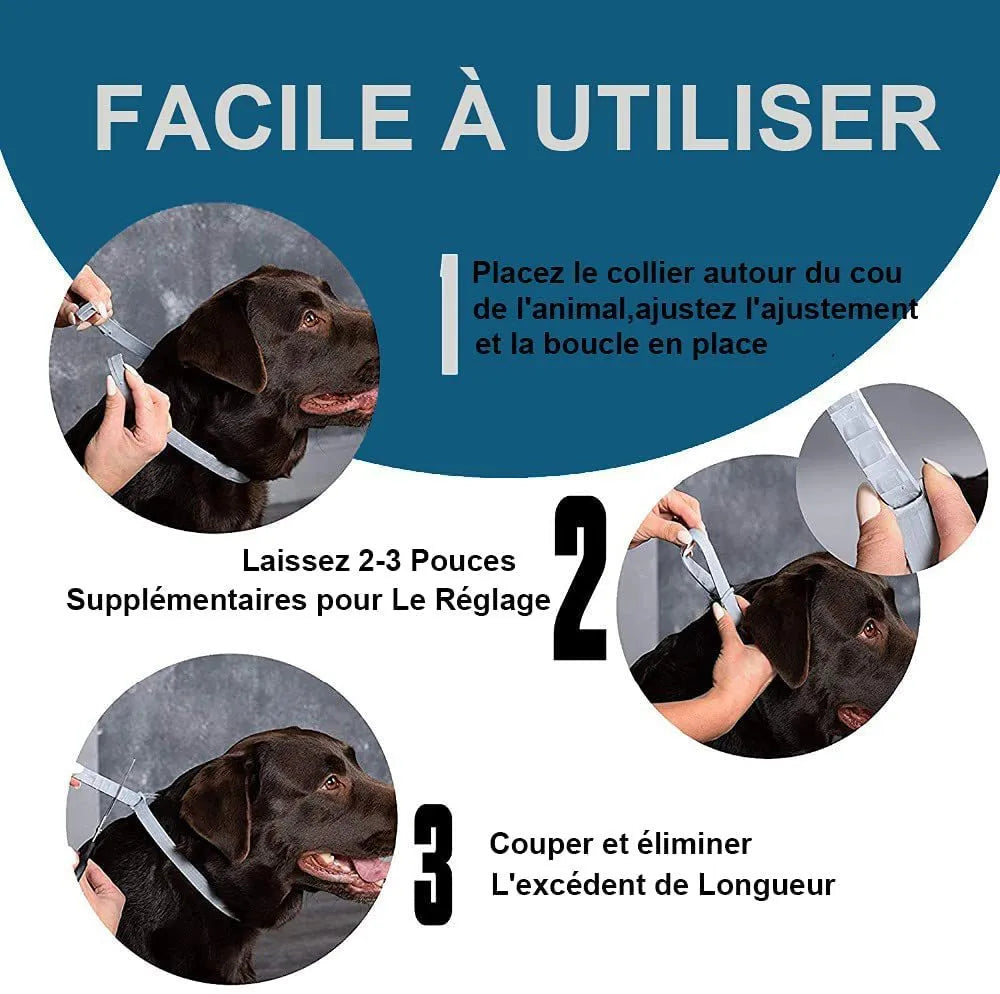 Rainbow plastic flea collar for cats and dogs in 38cm and 62cm sizes