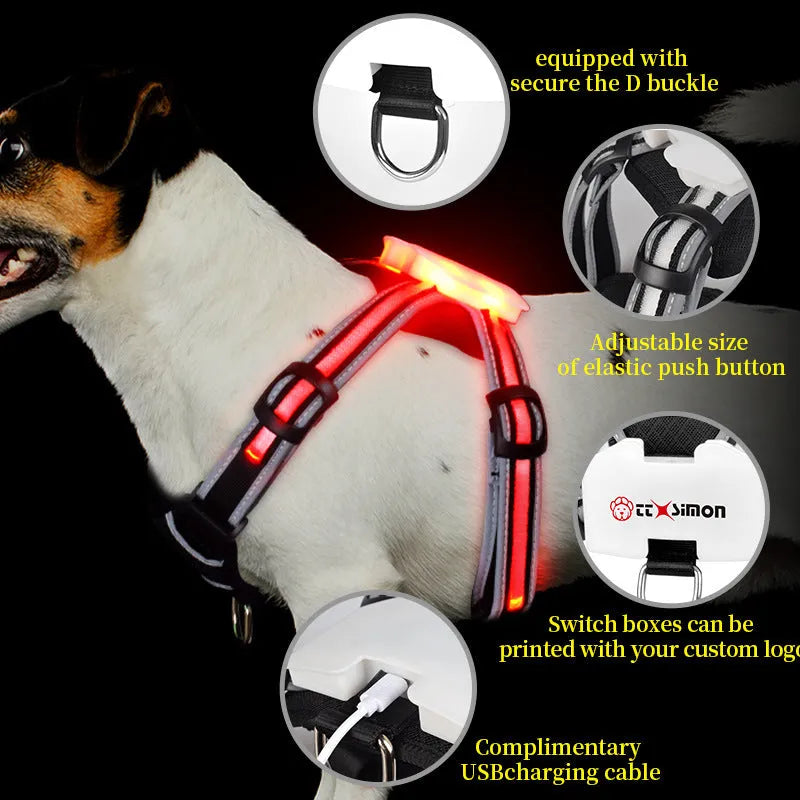 Luminous strap charging dog lead with seven-colour transformation, nylon construction, in size M