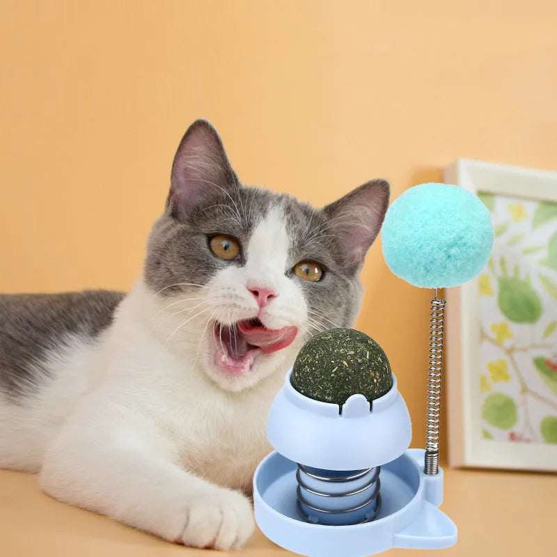 Colourful 55mm cat toy mint ball with self-hi sound for chewing and play