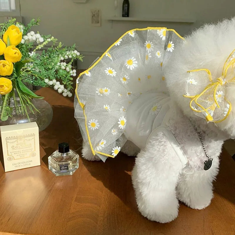 Summer thin dog coat in yellow little Daisy print for small to large dogs