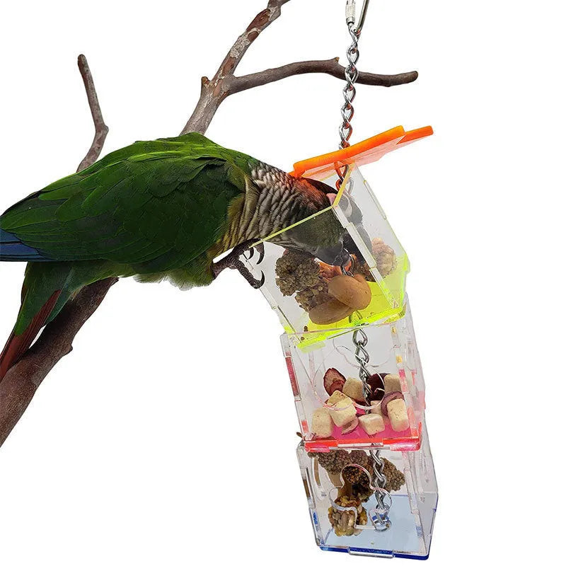 Clear acrylic parrot foraging toy measuring 5x5x32cm with food inside for bird enrichment