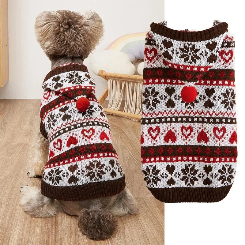 Pink knitted dog sweater with snowflake and striped camouflage patterns on a small Bichon dog