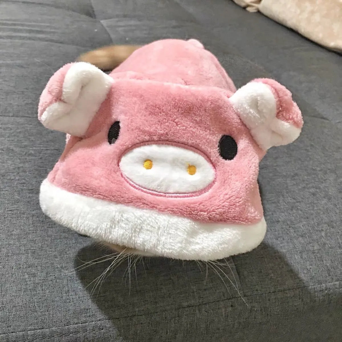 Blue cat British Shorthair wearing four-legged coral fleece pet clothing in cartoon style