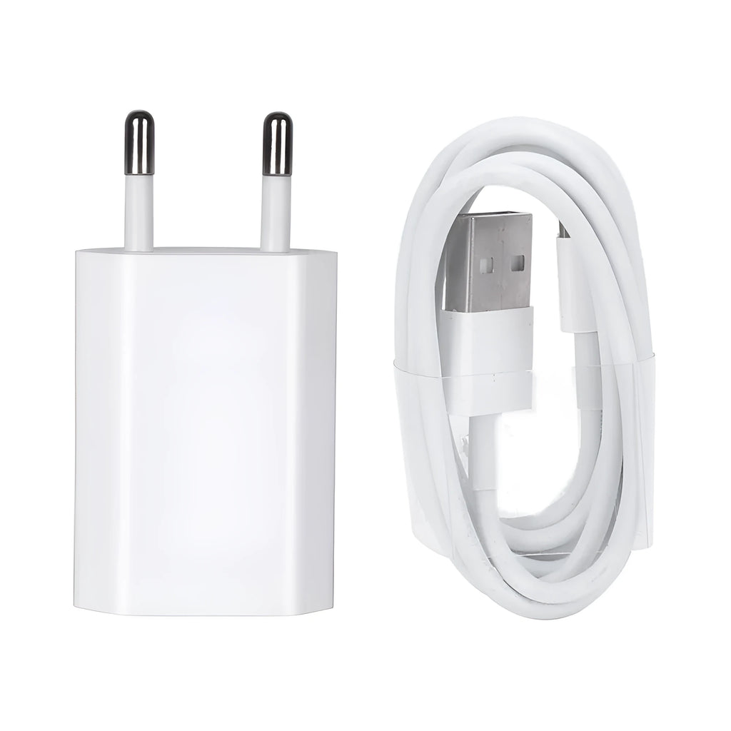5V 2A USB charger and cable for iPhone and iPad smartphones and tablets