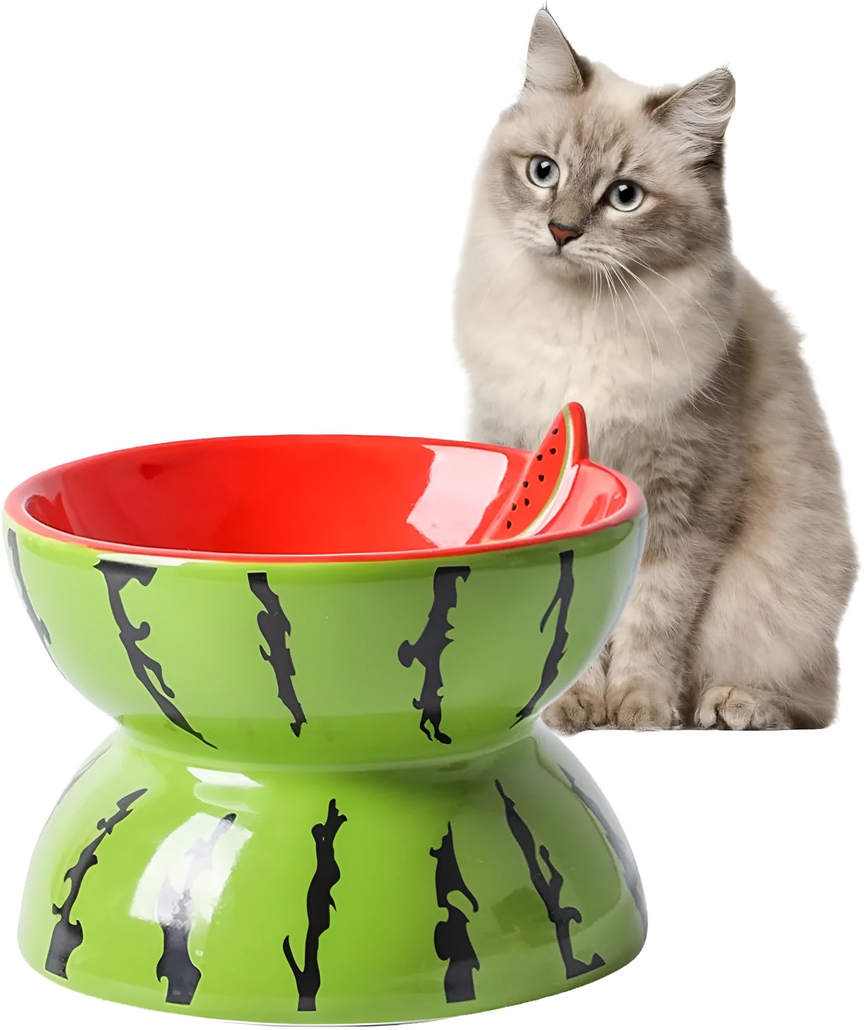 Ceramic raised cat bowl in orange colour with tilted design and patterned detail on a non-slip base