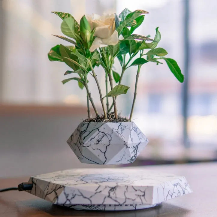 Marbled levitating plant pot floating in air with small plant under soft light