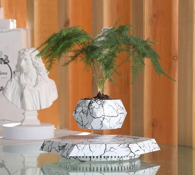 Marbled levitating plant pot floating in air with small plant under soft light
