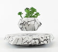 Marbled levitating plant pot floating in air with small plant under soft light