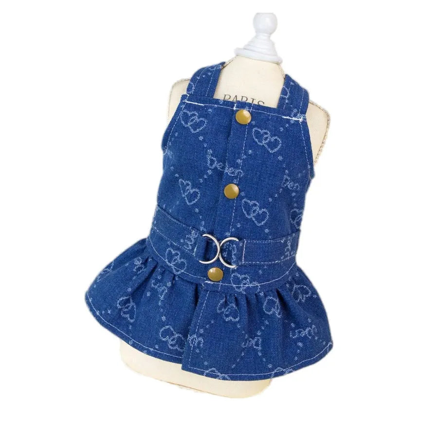 Teddy Bichon dog wearing denim princess dress with bracket skirt detailing