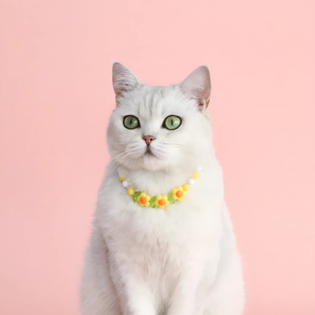 Colourful plastic bead pet necklace with adjustable sizing for cats and dogs