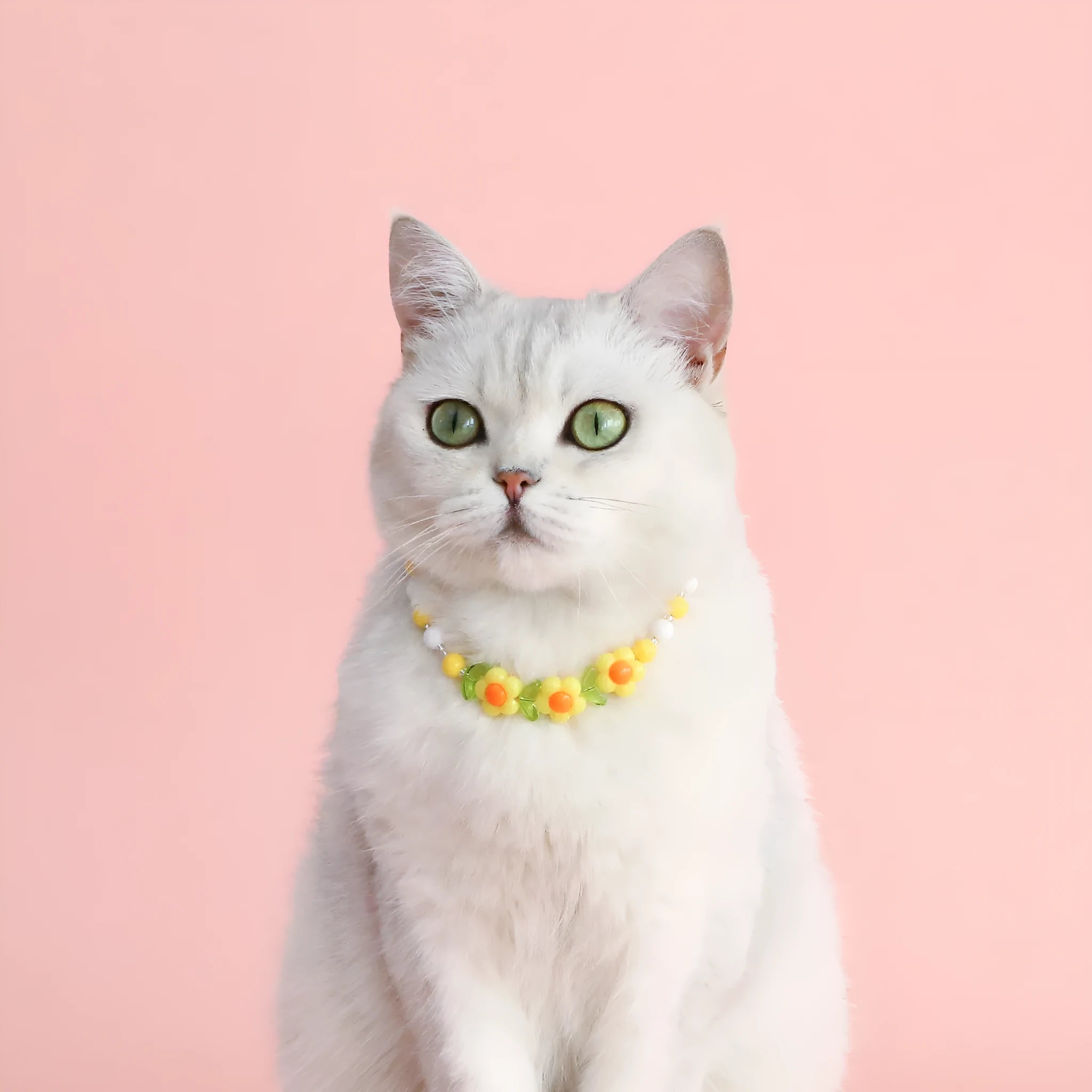 Colourful plastic bead pet necklace with adjustable sizing for cats and dogs