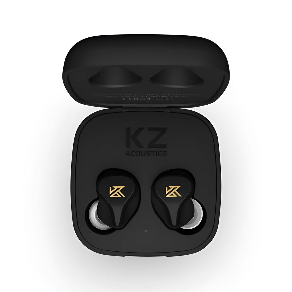 Z1 true wireless Bluetooth earbuds in Black with PC resin housing and in-ear fit