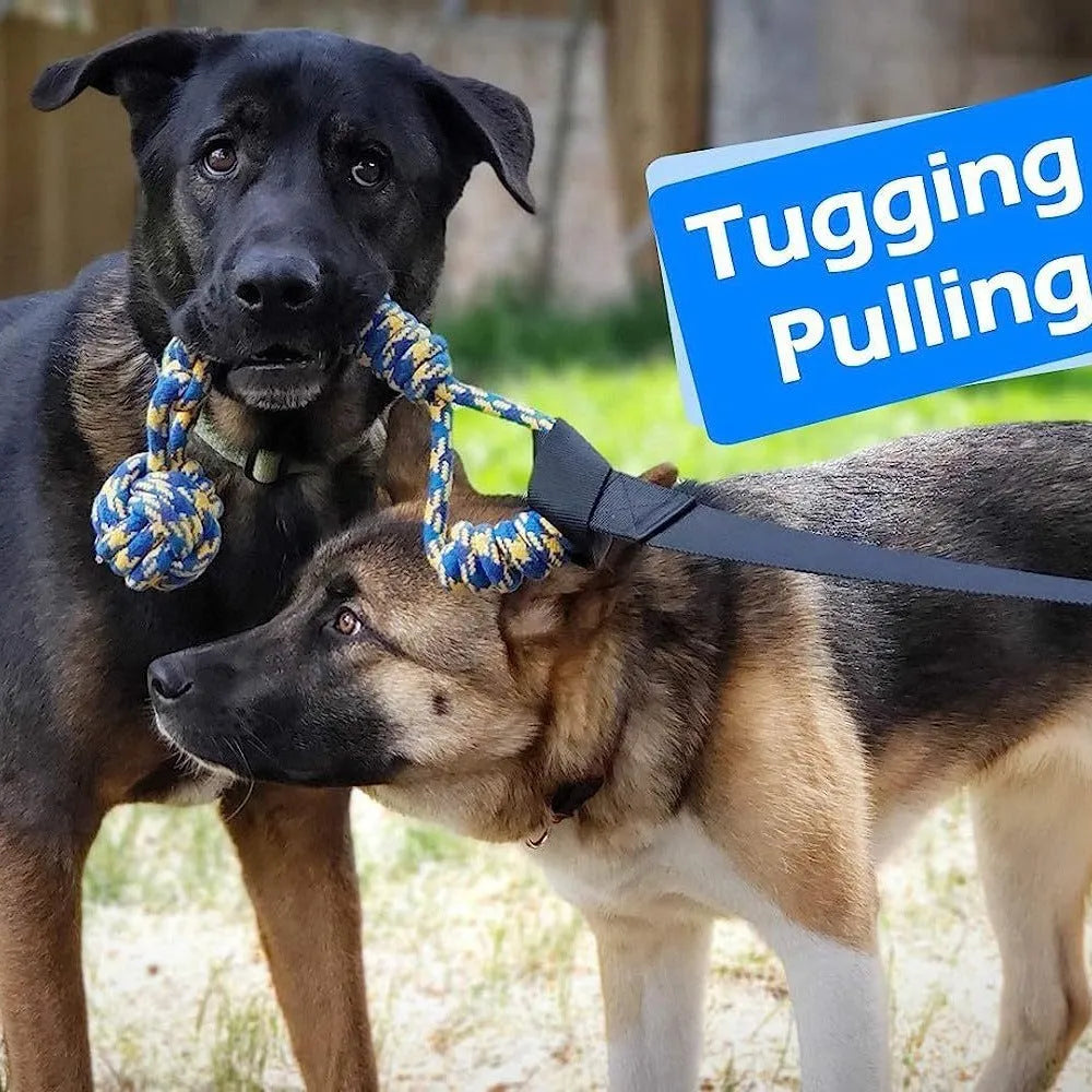 Green cotton dog tug rope toy with corncob design for chew and pull play