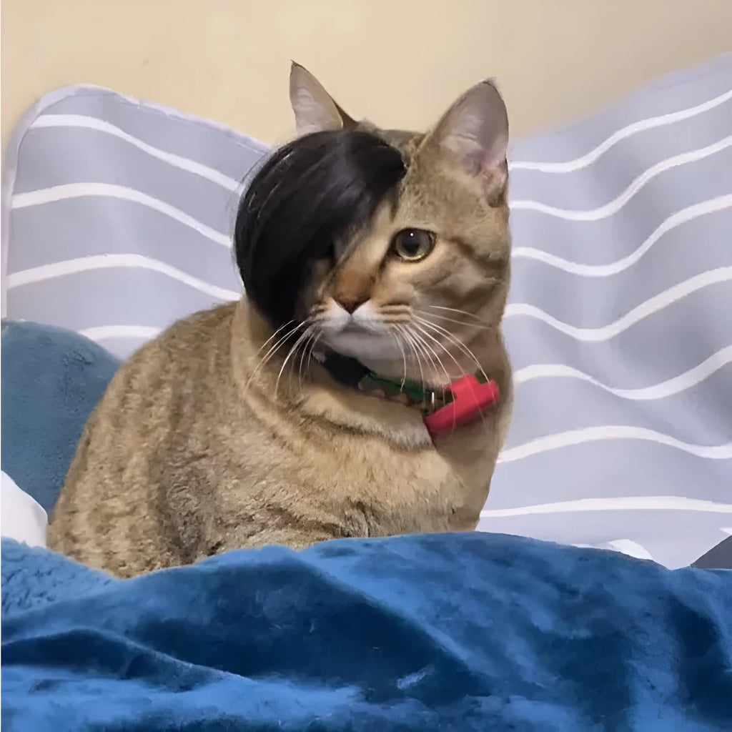 Black polyester cat wig with imitation braid design for fox costume dressing