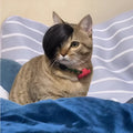 Black polyester cat wig with imitation braid design for fox costume dressing