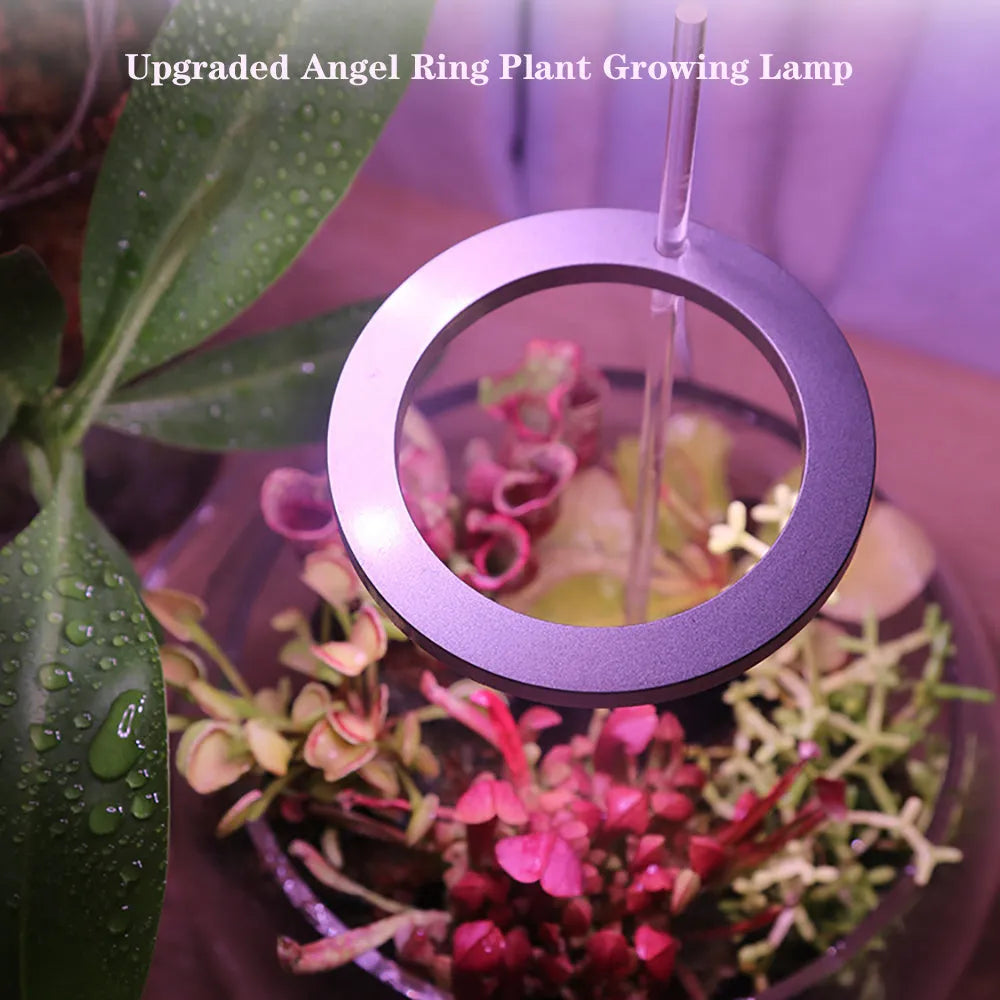 LED grow light full spectrum angel ring USB phytolamp for indoor plants