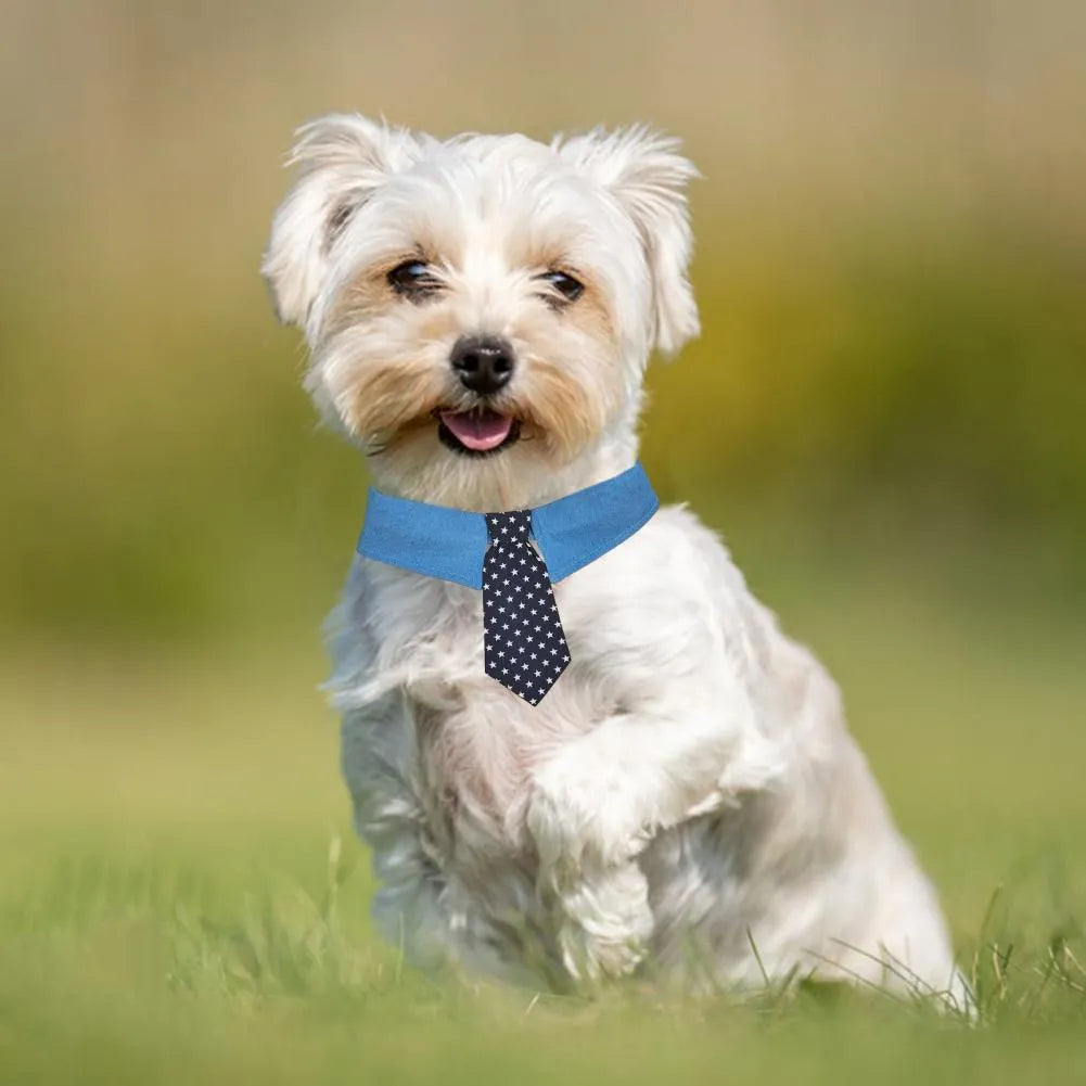 Denim pet collar with star pattern and bow tie on a table, adjustable fastener tape closure