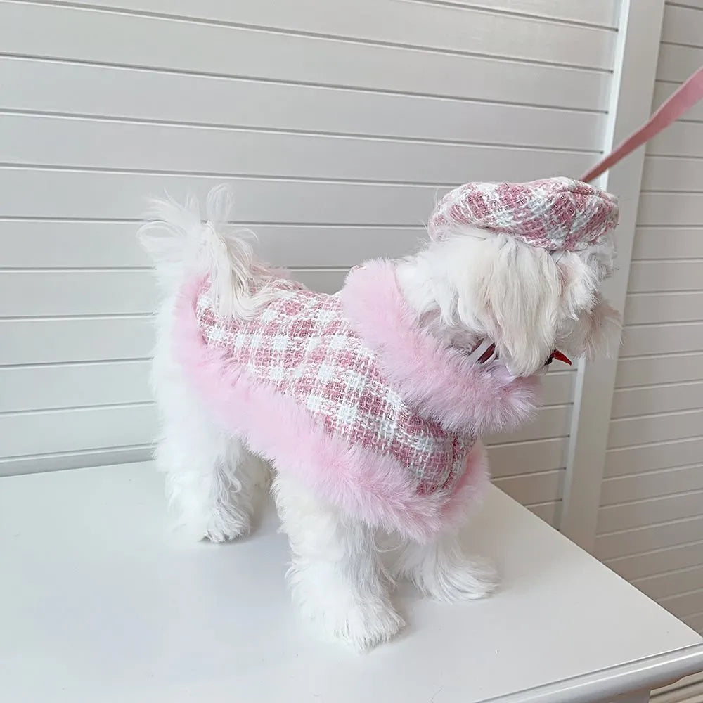 Cat wearing pink hooded cloak with matching beret and attached rope leash costume set