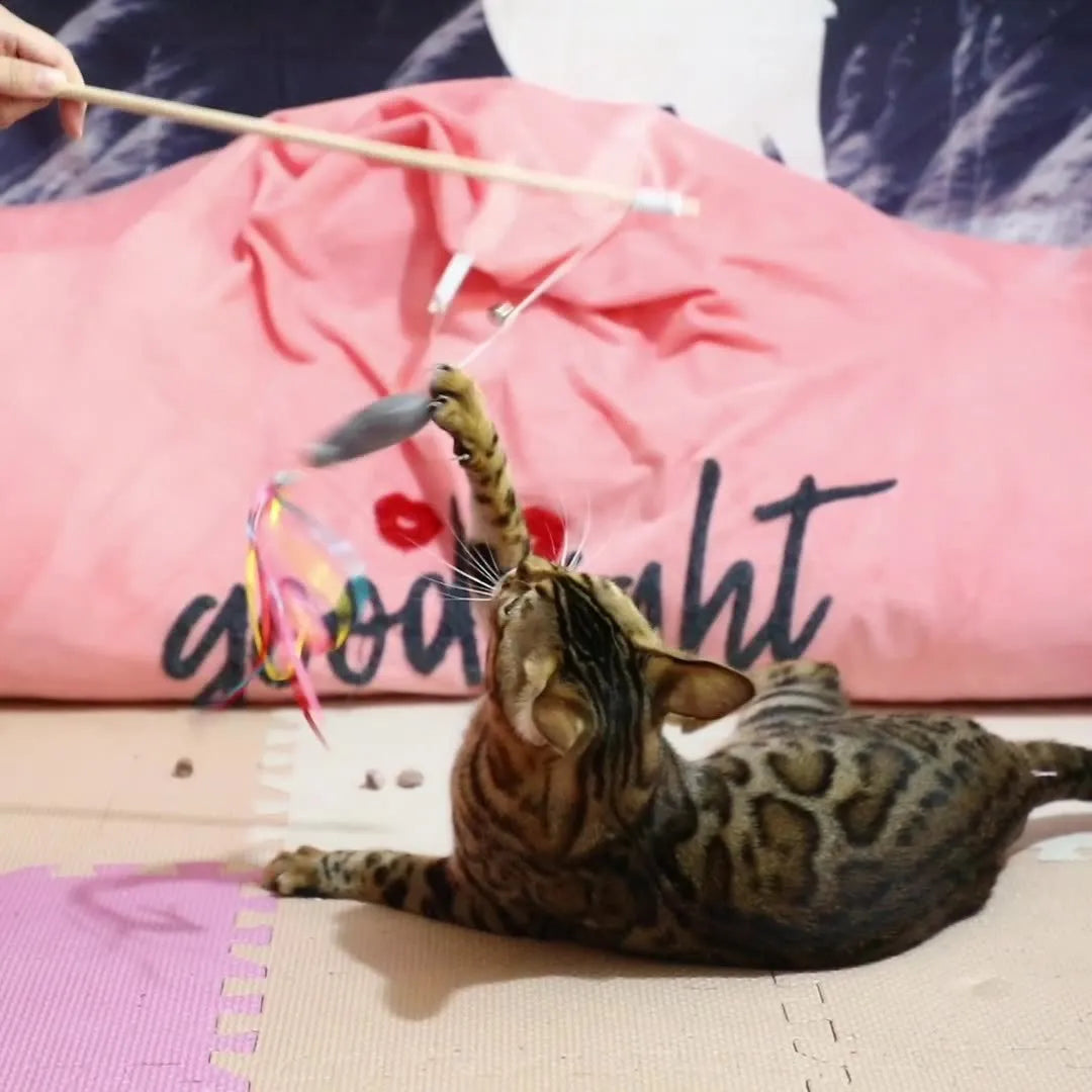 Cat wand toy with colourful ribbons, catnip fish and bell on 40cm wooden handle