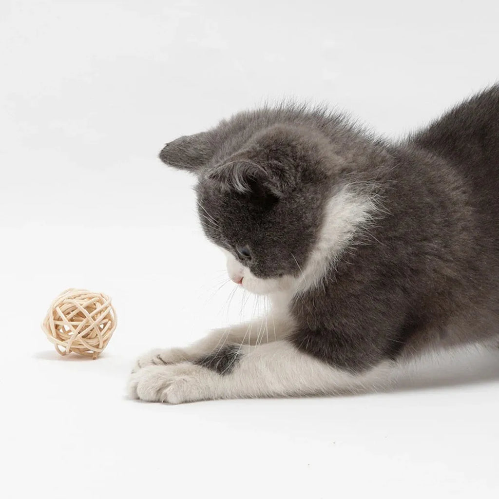 Two-piece cat toy set showing rattan ball and faux feather bell ball for interactive pet play